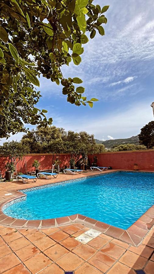 Residence Antonia Appartements Avec Piscine Commune - Centre Ville Calvi Calvi  Exterior foto